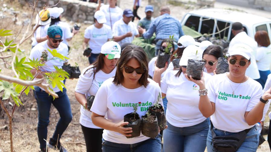 Voluntariado BHD realiza jornada de siembra de canelilla en Azua