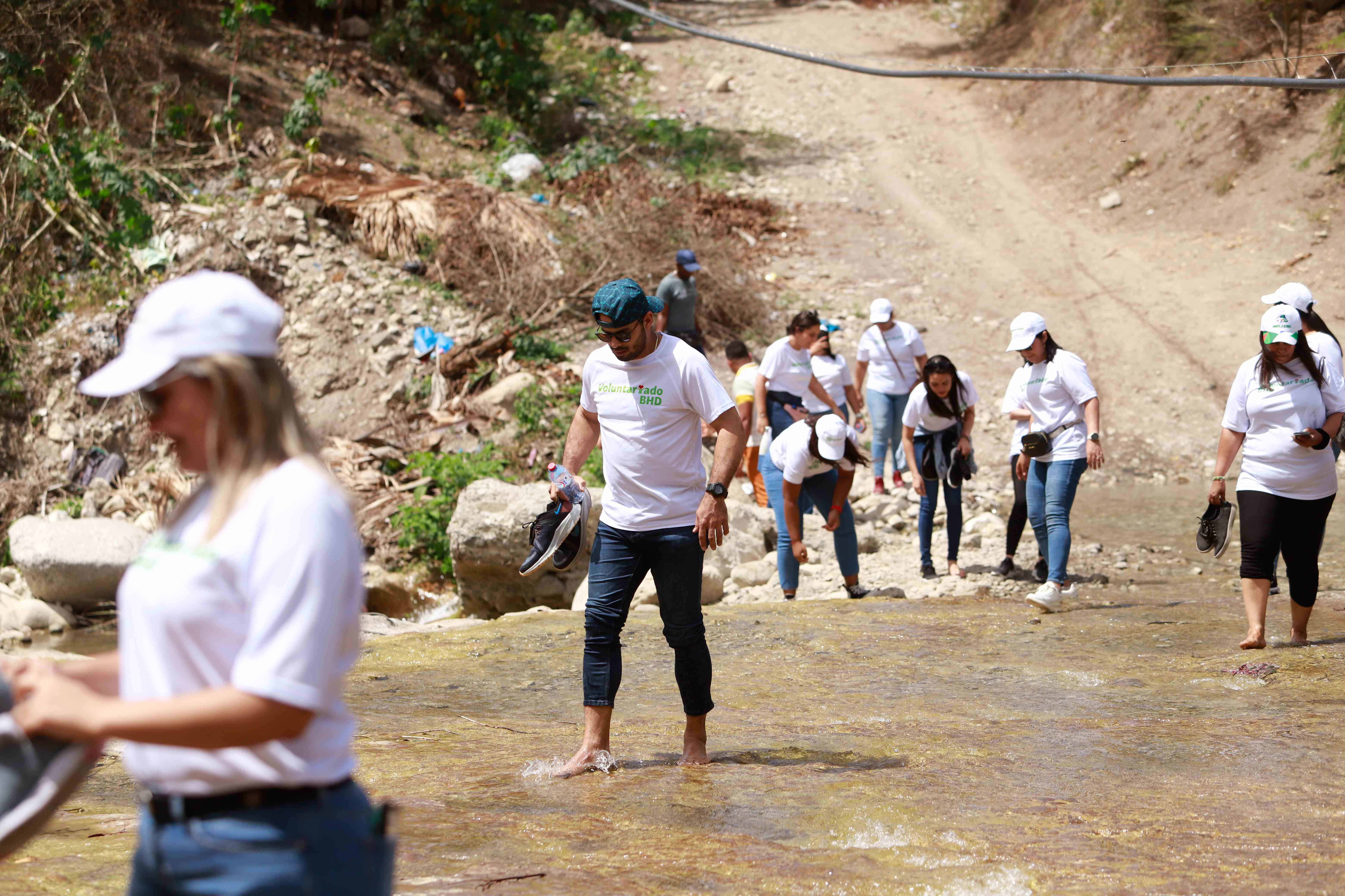 Voluntariado BHD continúa la jornada de siembra de canelilla.