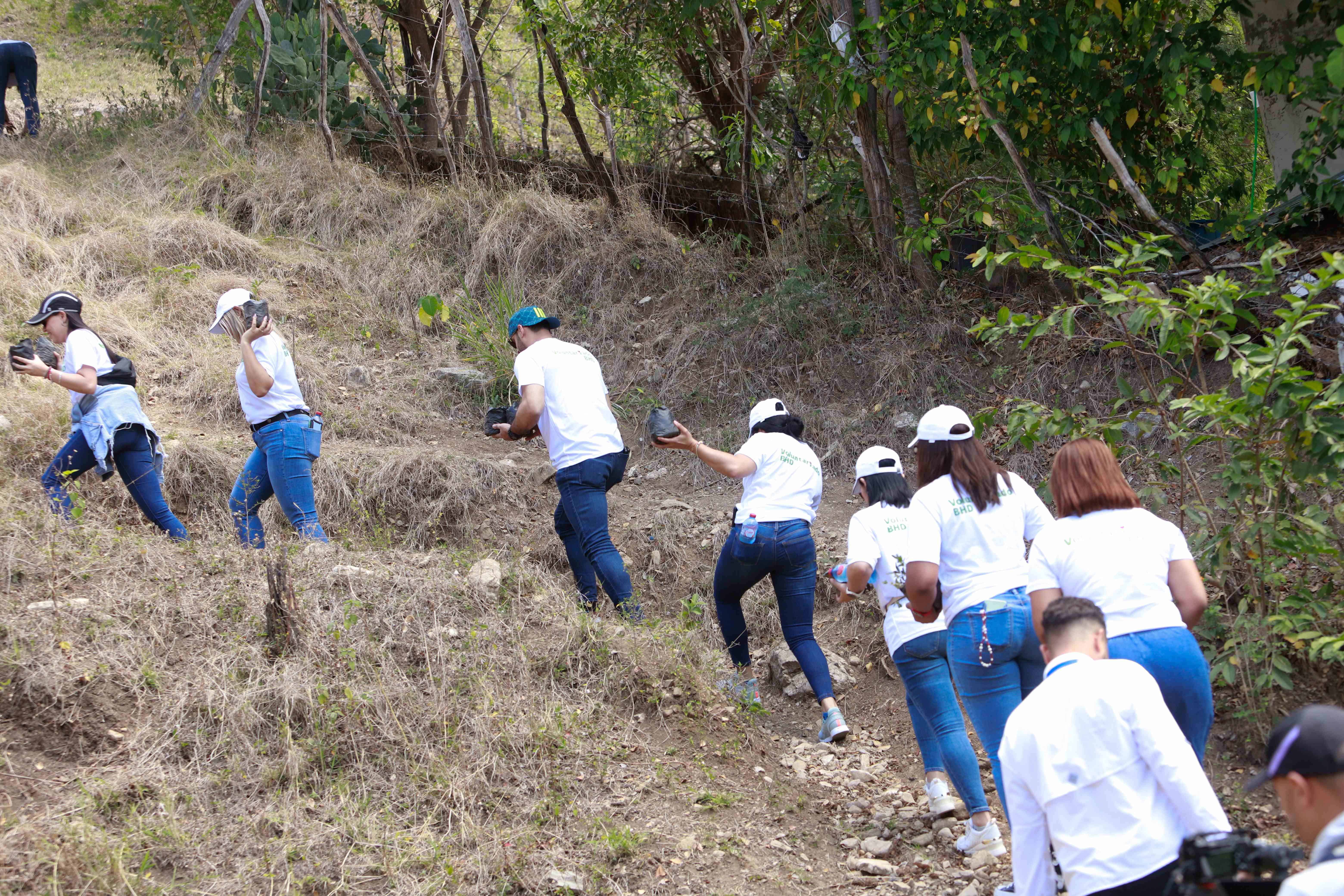 Miembros Voluntariado BHD.