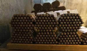 Medidas comerciales de EE. UU. contra Nicaragua amplían oportunidad al tabaco dominicano