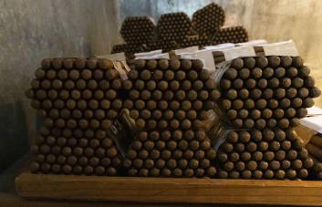 Exportaciones del agro caen 5.8 % en el primer trimestre tras bajas en cacao, banano y tabaco