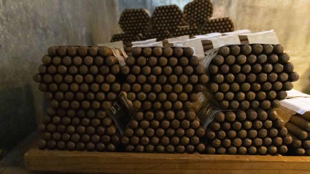 Exportaciones del agro caen 5.8 % en el primer trimestre tras bajas en cacao, banano y tabaco