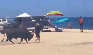Toro embiste a una turista en una playa de Los Cabos de México y nadie la ayuda