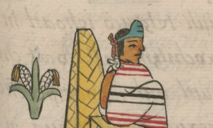 Cantos de Cacamatzin en tiempo de elecciones