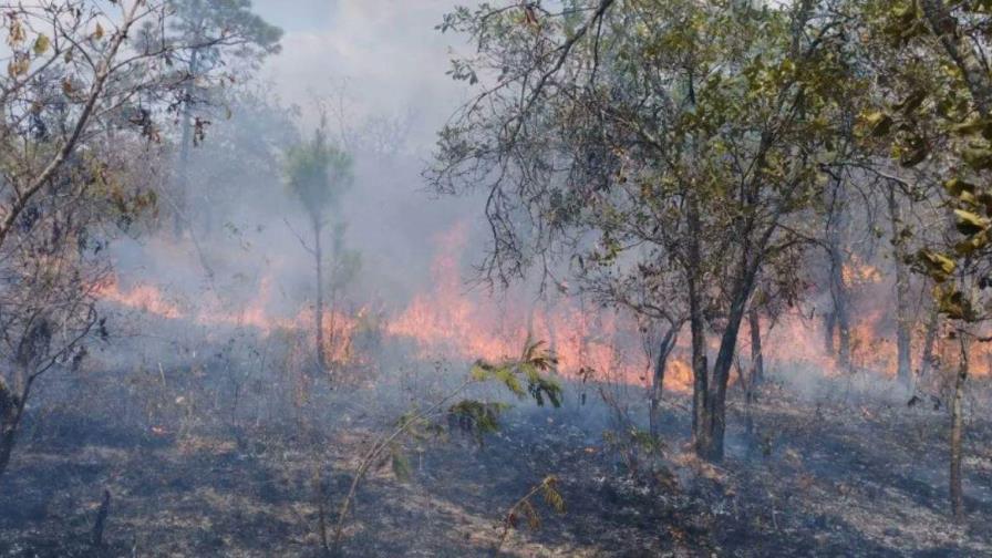 Más de 40,000 hectáreas de bosque perdidas por incendios en Guatemala, un aumento del 40 %