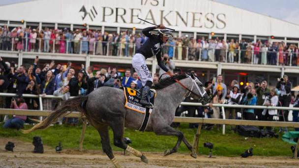 Seize the Grey se corona en Preakness; el ejemplar montado por Joel Rosario llegó en quinto lugar