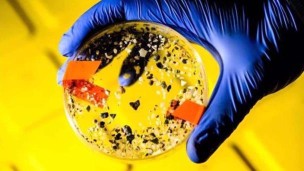 Los microplásticos reducen el carbono que el océano arrastra al fondo