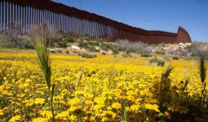 Trump se compromete a continuar la construcción del muro fronterizo pese al mayor coste