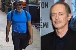 Detienen hombre por agresión al actor Steve Buscemi en Nueva York Detienen hombre por agresión al actor Steve Buscemi en Nueva York