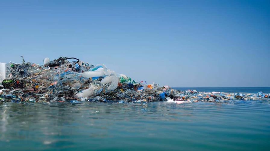 Tribunal de ONU: los países están obligados a reducir la contaminación del medio marino