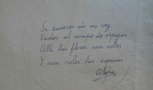 Alcira Soust Scaffo entre poemas, espigas y espinas