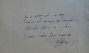 Alcira Soust Scaffo entre poemas, espigas y espinas