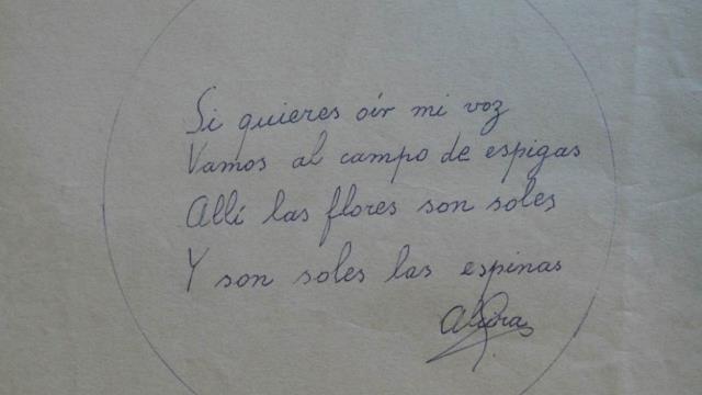 Alcira Soust Scaffo entre poemas, espigas y espinas