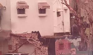 Cae árbol por lluvias y fuerte brisa en la Ciudad Colonial