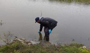 Investigan mortandad de peces reportada en una laguna de Puerto Plata