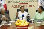 República Dominicana busca aumentar hasta en 30 % exportaciones de mango en 2024