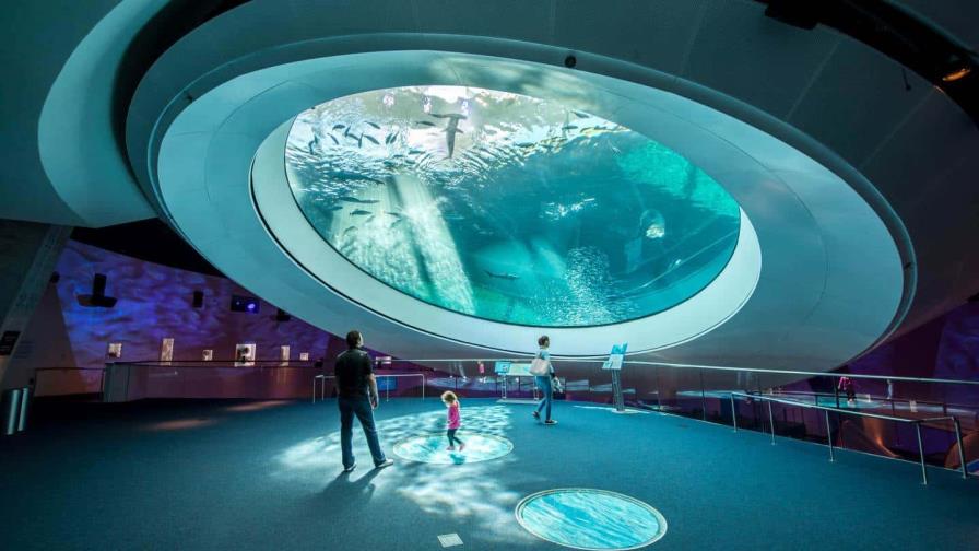 Museo de ciencia de Miami inaugura exhibición sobre los viajes espaciales