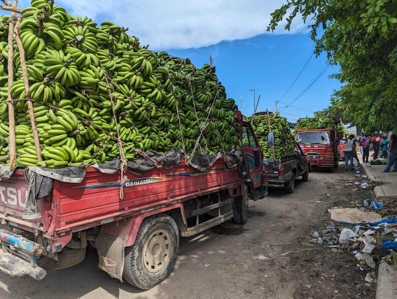 Varios camiones de plátanos y guineo en el mercado binacional de Dajabón.