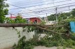 Un ventarrón afecta a Santiago la tarde de este lunes; derriba árboles y bloquea vías