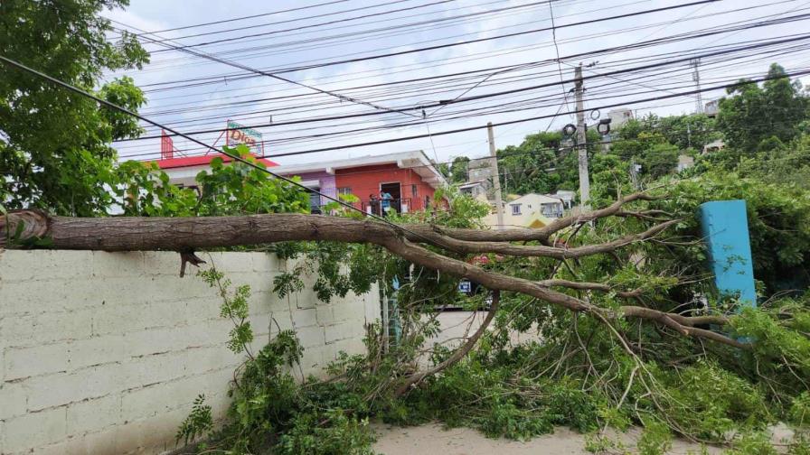 Un ventarrón afecta a Santiago la tarde de este lunes; derriba árboles y bloquea vías