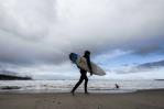 Cierran popular playa de California después de que un tiburón derribó a un surfista de su tabla Cierran popular playa de California después de que un tiburón derribó a un surfista de su tabla