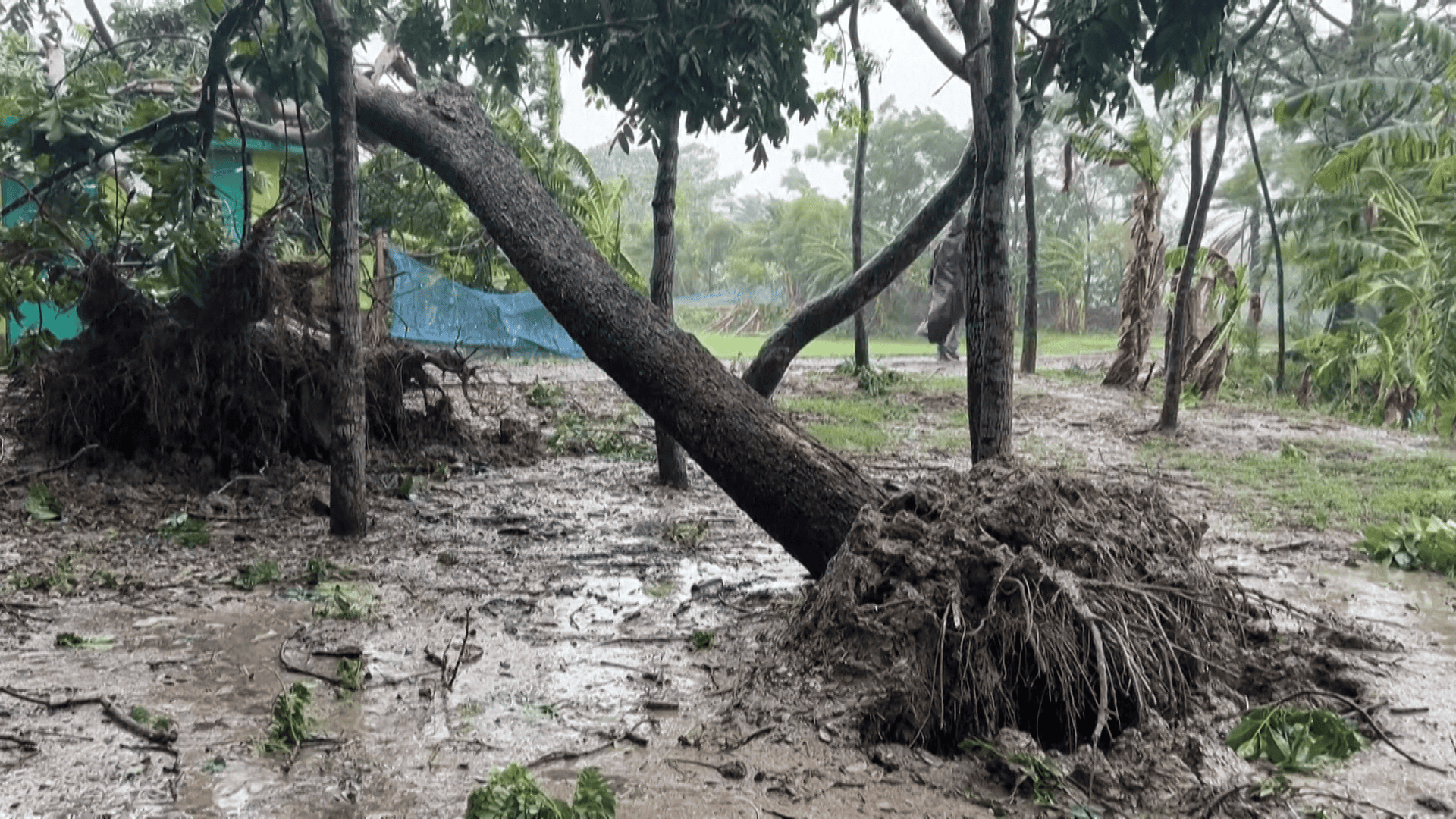 Al menos 38 personas murieron en India y Bangladés por un ciclón Remal