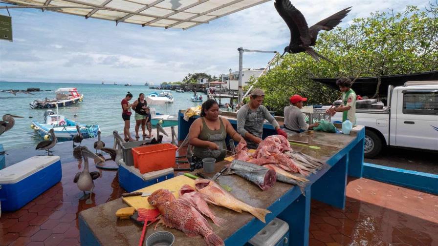 Usaid dona equipos para mejorar la producción de los pescadores artesanales en Galápagos