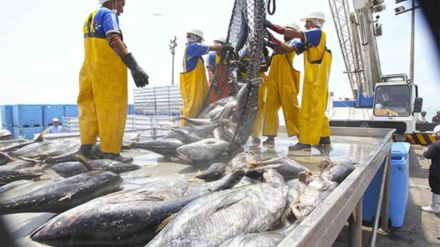 La Justicia de Perú rechaza permitir la pesca a gran escala en áreas naturales protegidas