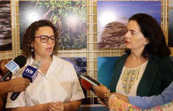 En los últimos cuatro años se ha perdido entre el 40 y 60 % de la cobertura viva de coral en RD