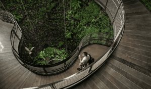 La arquitectura, un medio para la salud y el bienestar