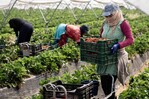Comisario UE de Migraciones sobre la regularización española: No envía una buena señal Comisario UE de Migraciones sobre la regularización española: No envía una buena señal