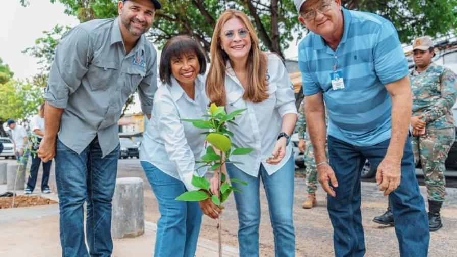 Alcaldía del Distrito Nacional siembra 52 árboles nativos por Día del Medio Ambiente