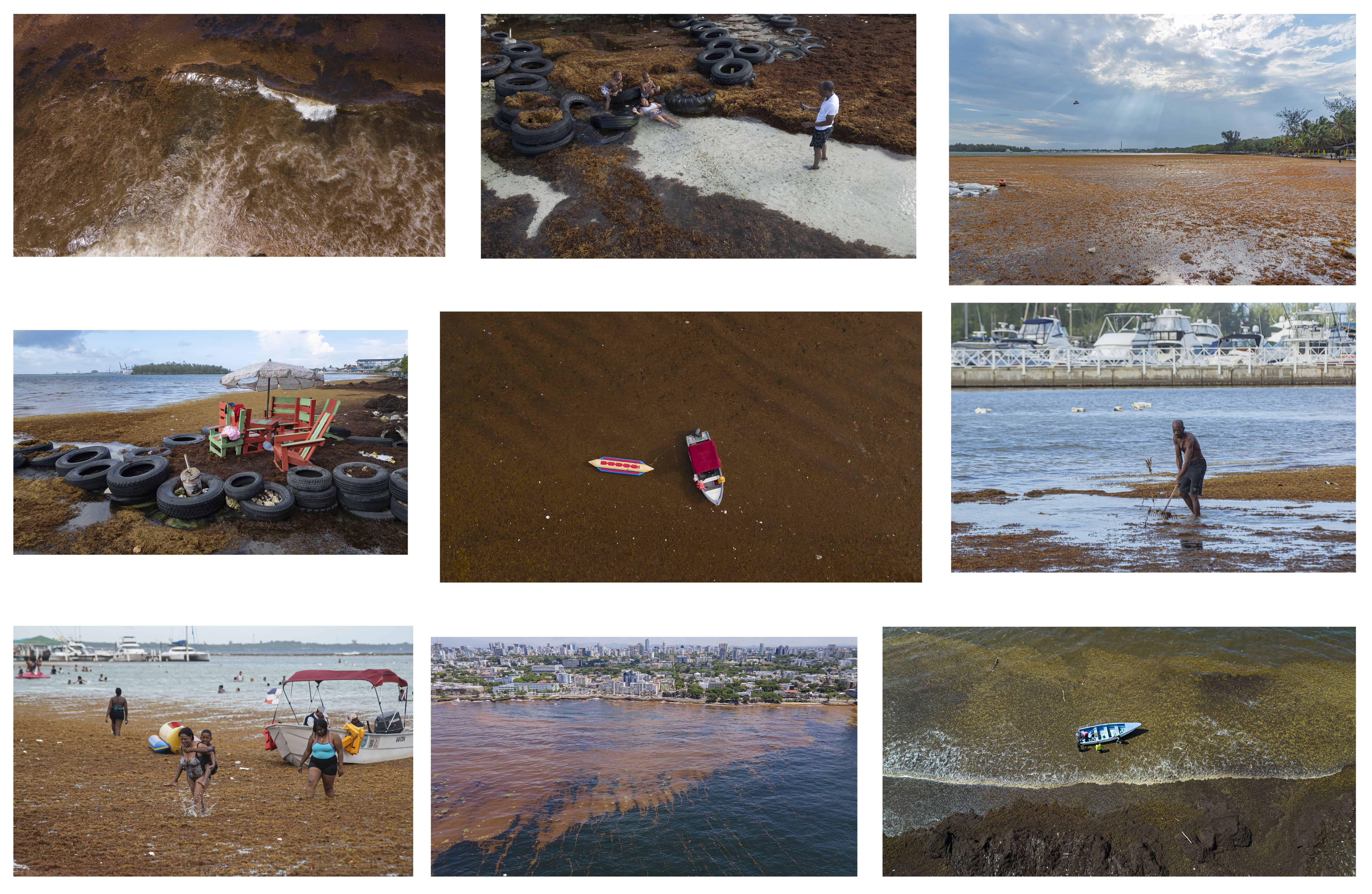 Categoría Reportaje: Primer Lugar. La situación del sargazo en la República Dominicana es “crítica”. La presencia del sargazo en el Caribe se le prestó especial atención en 2011, cuando se acumuló en las costas, y desde los últimos años es monitoreado incluso de forma satelital. República Dominicana recibió más de 70 millones de toneladas del alga marina en el 2023, convirtiéndose en una amenaza para la economía, salud pública y generando costos más elevados para las comunidades costeras afectadas en la región de América Latina y el Caribe.Esta imagen documenta de manera impactante y detallada la realidad del problema del sargazo en la República Dominicana, resaltando su gravedad y sus consecuencias en la vida cotidiana de las comunidades costeras.