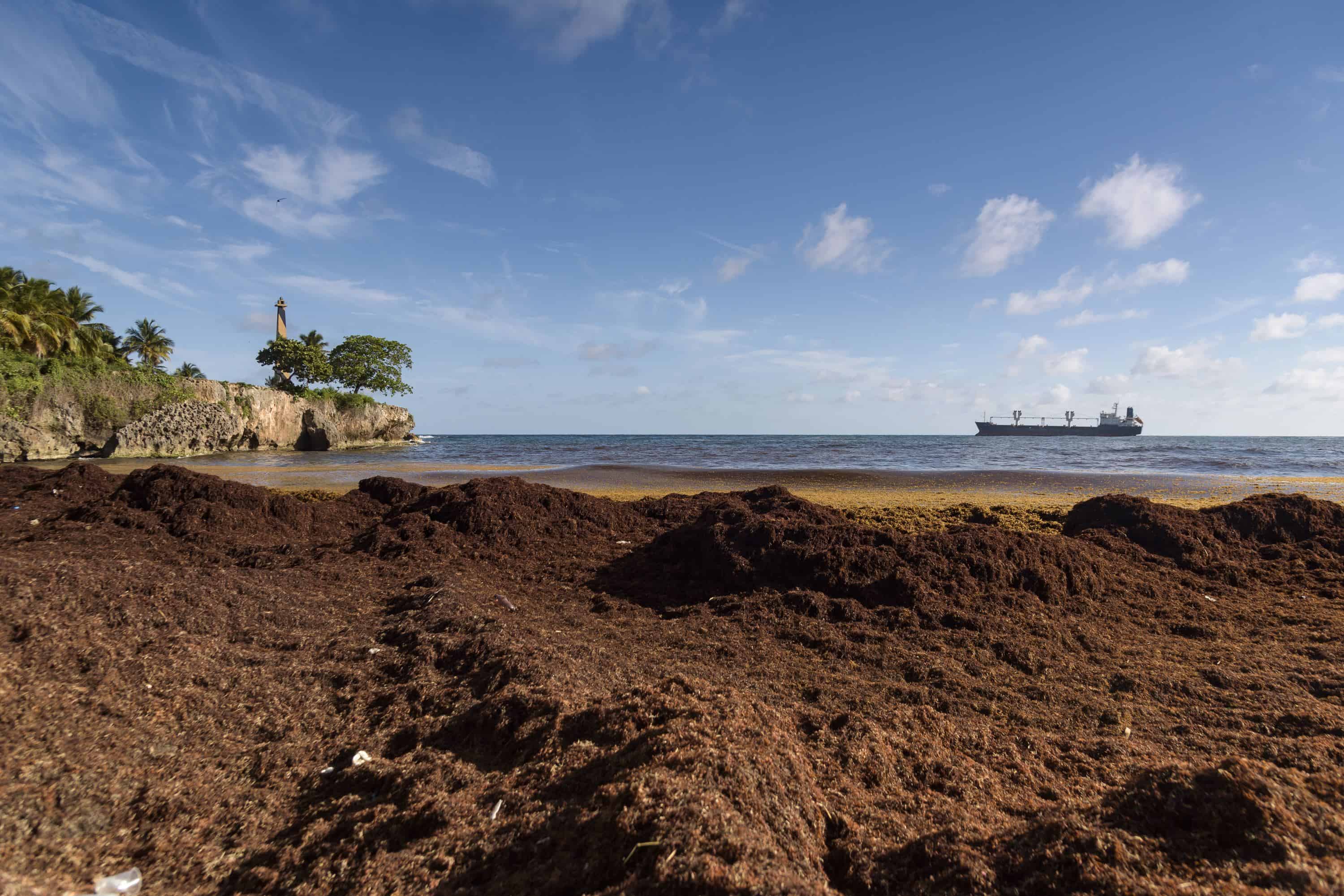 Categoría Medio: Mención Honorifica.