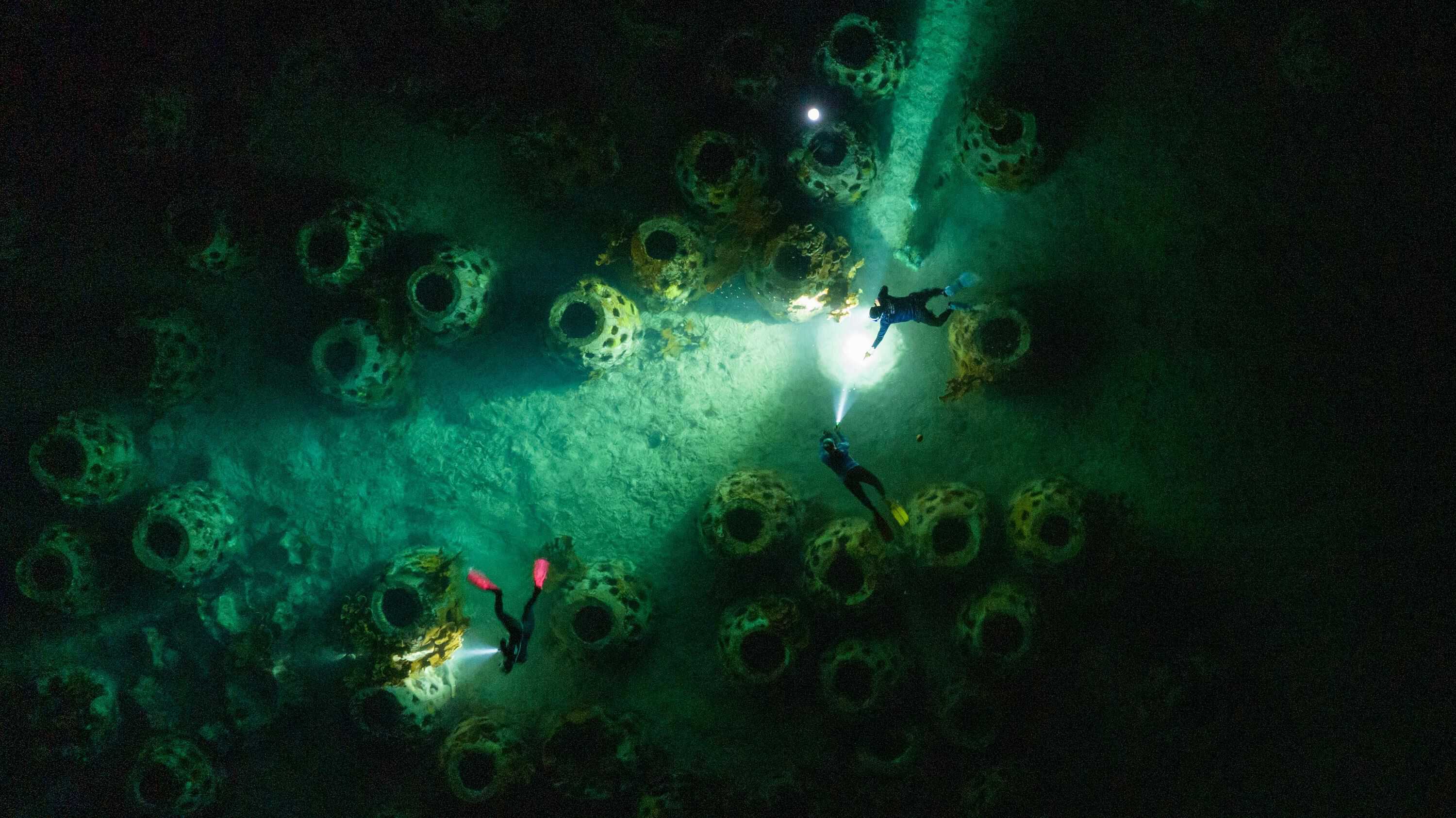 Categoría Medioambiente:Primer lugar.  Vista aérea de técnicos de la Fundación Dominicana de Estudios Marinos (Fundemar) y voluntarios de diferentes organizaciones ecologistas mientras trabajan en la colecta de gametos.Esta imagen muestra la colaboración y el esfuerzo conjunto de los profesionales y voluntarios dedicados a la conservación marina, capturando la belleza y la importancia de su trabajo desde una perspectiva única.