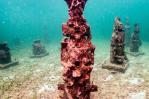 Un museo submarino protege a los corales en el Caribe colombiano