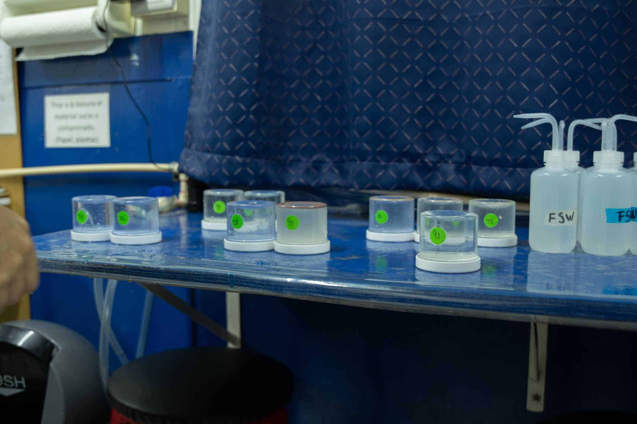 Frascos de colecta el lunes 3 de junio en el laboratorio de Fundemar. 