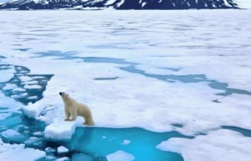 El Ártico podría absorber menos CO2 del previsto debido a la erosión costera