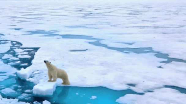 El Ártico podría absorber menos CO2 del previsto debido a la erosión costera
