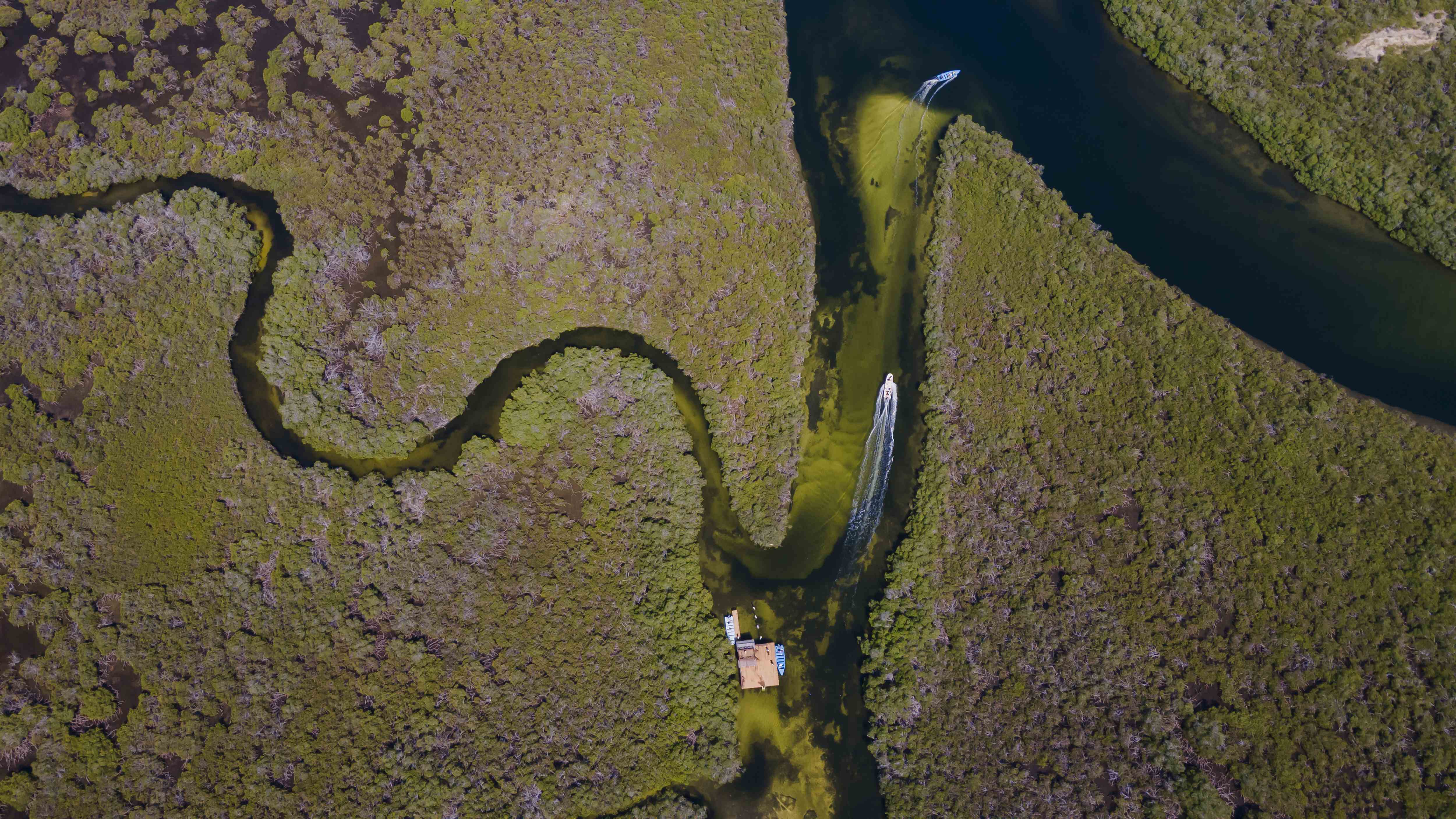 [object HTMLTextAreaElement]