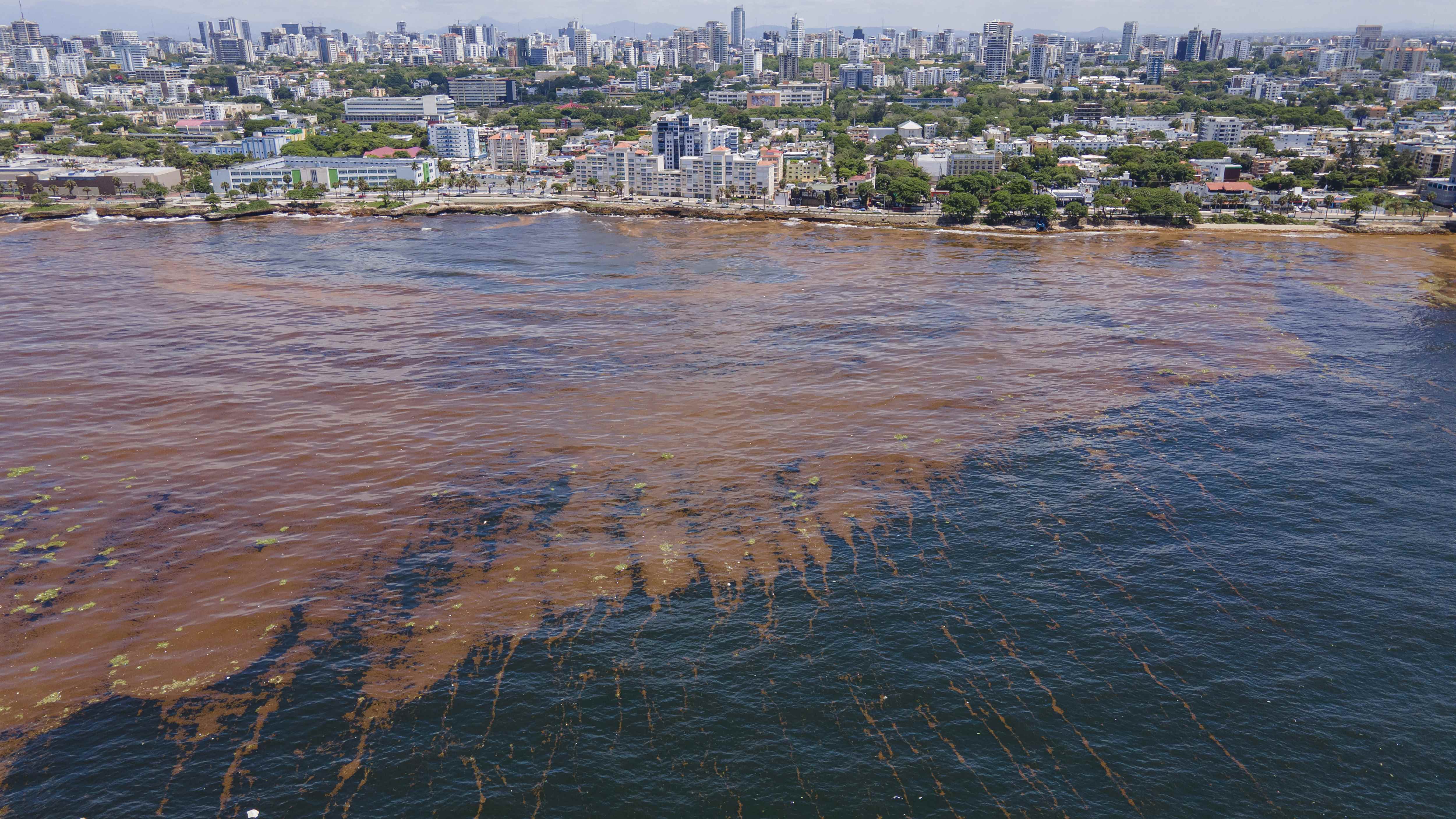 [object HTMLTextAreaElement]