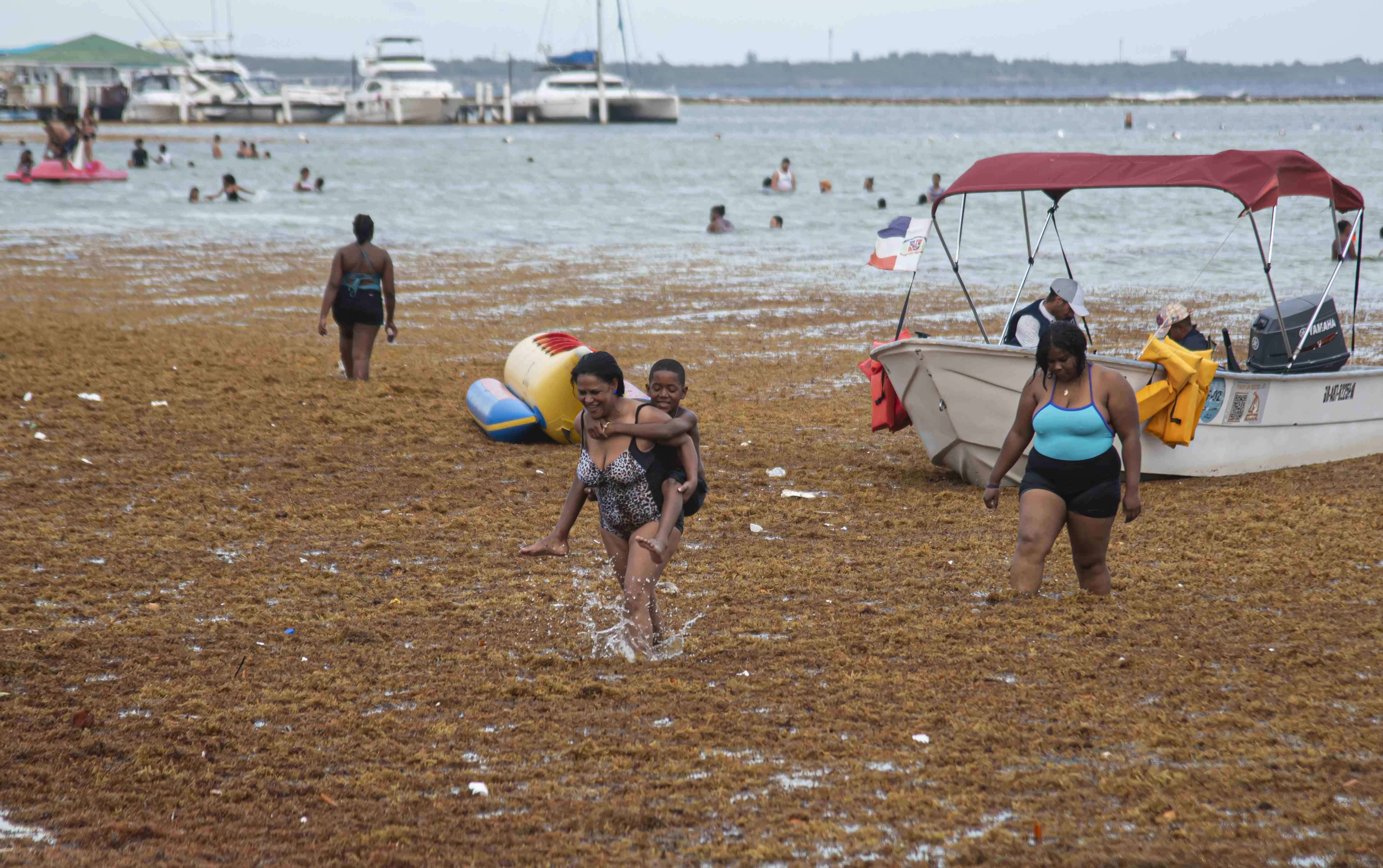 [object HTMLTextAreaElement]