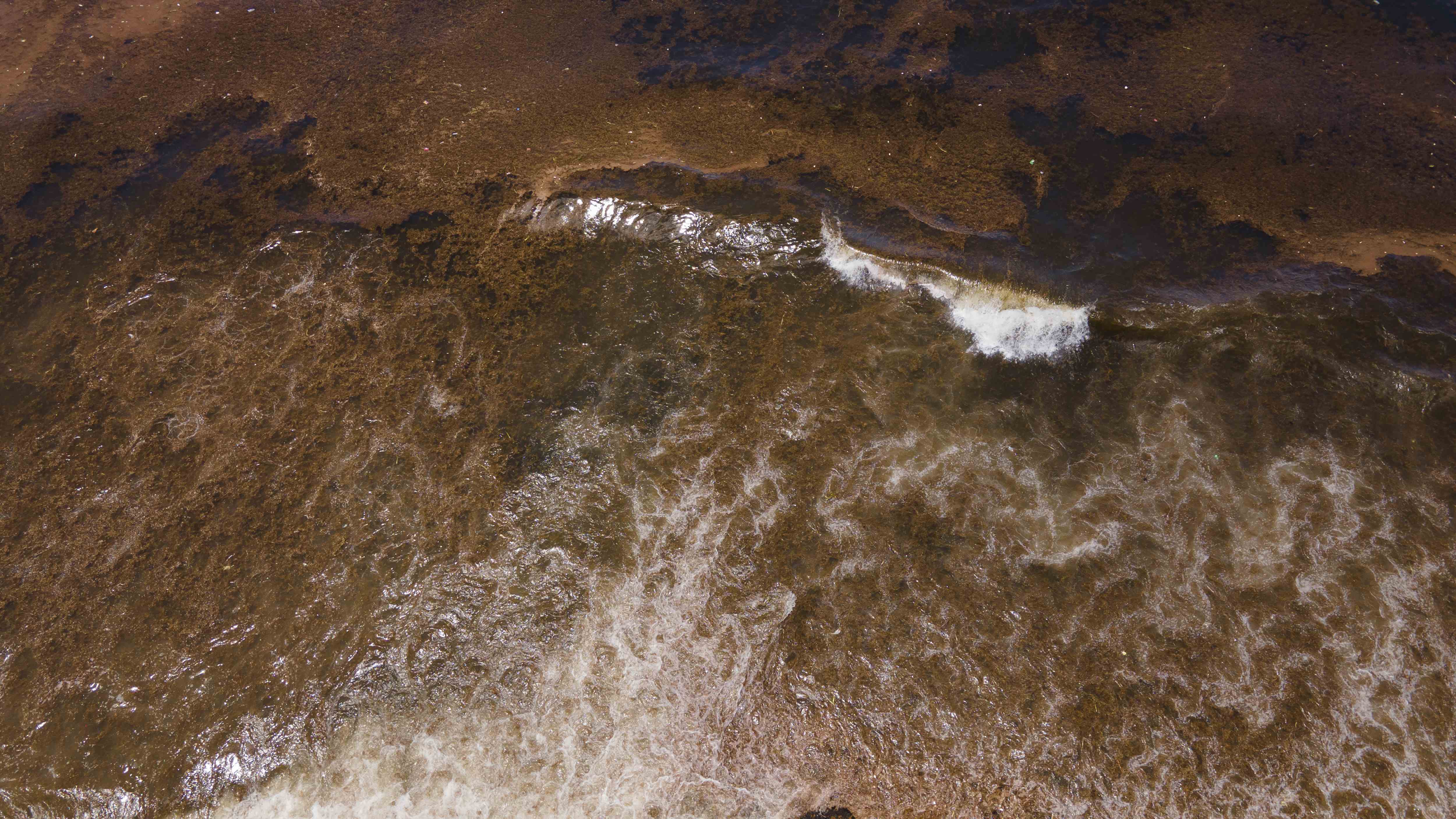 [object HTMLTextAreaElement]