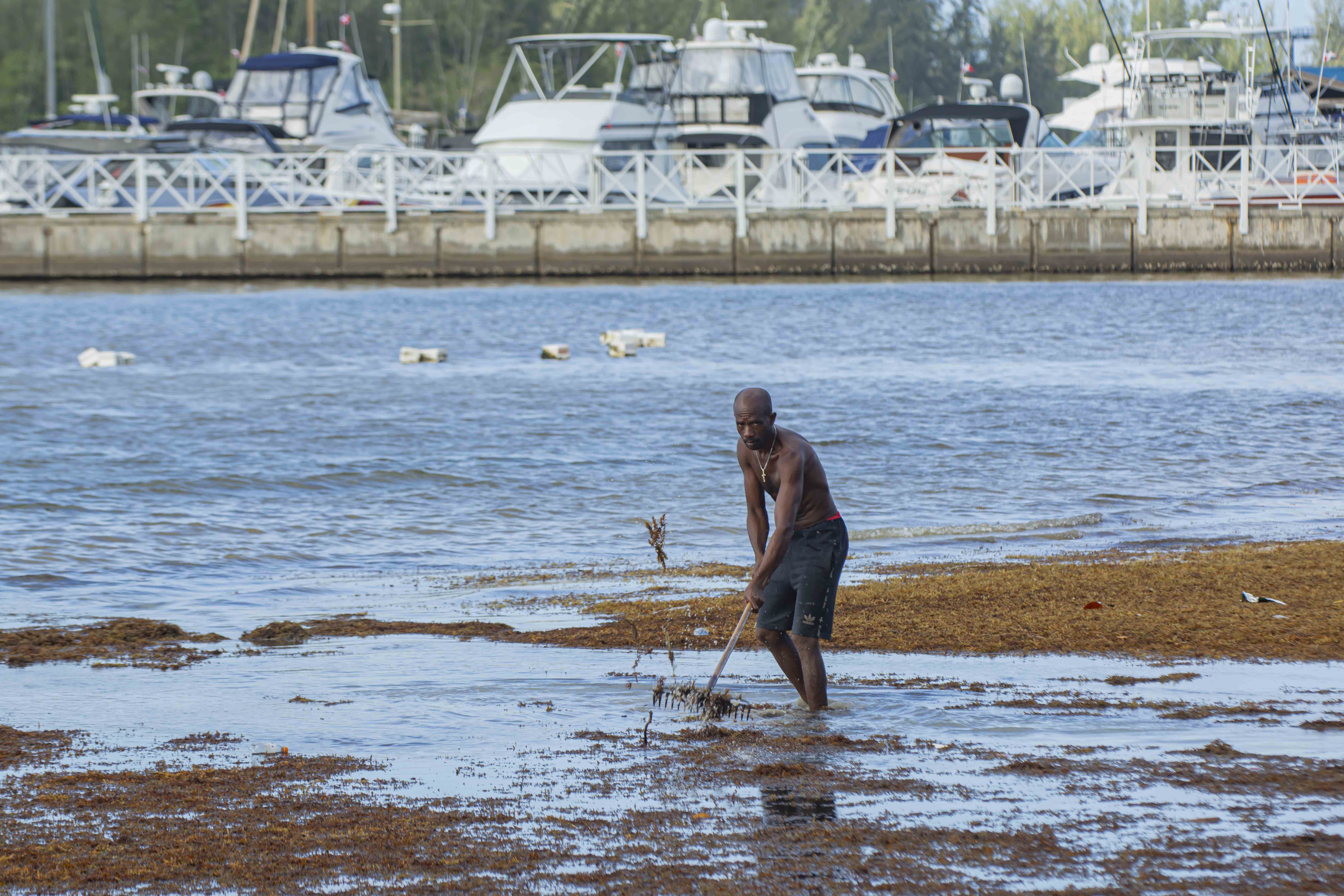 [object HTMLTextAreaElement]