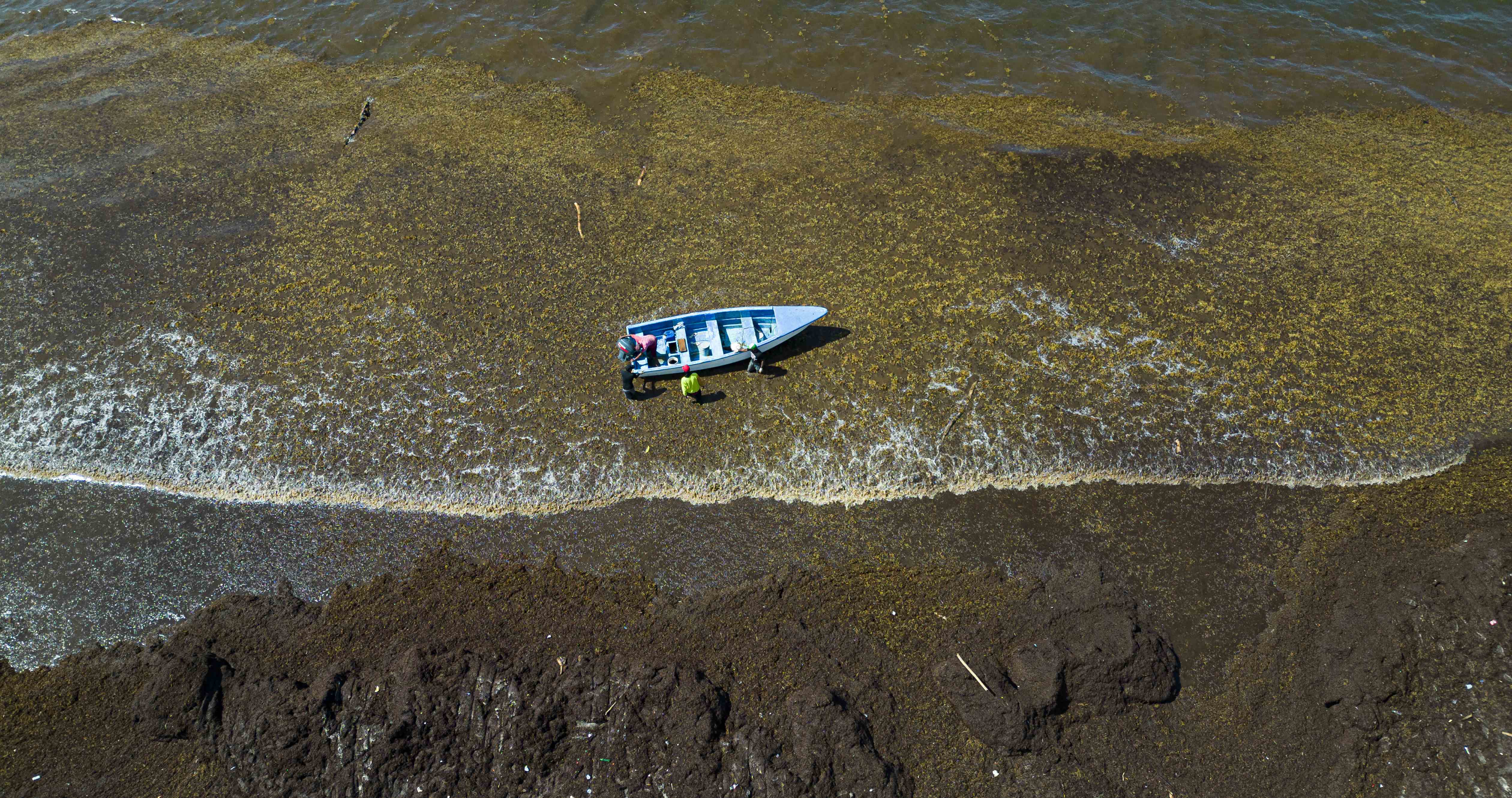 [object HTMLTextAreaElement]