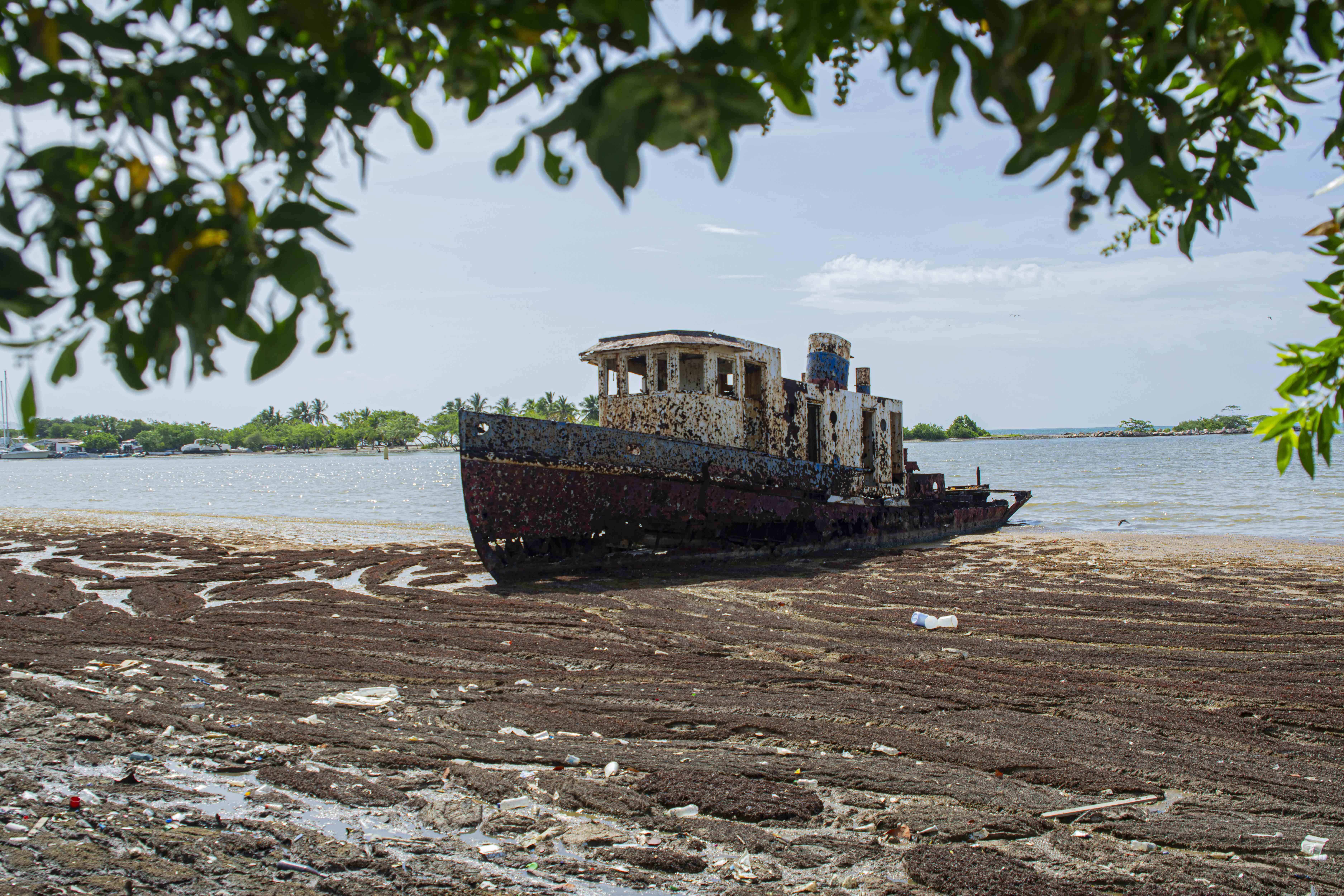 [object HTMLTextAreaElement]