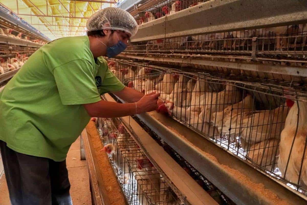 Infografía