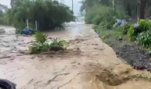 Autoridades de Agricultura hacen levantamiento para auxiliar productores afectados por lluvias