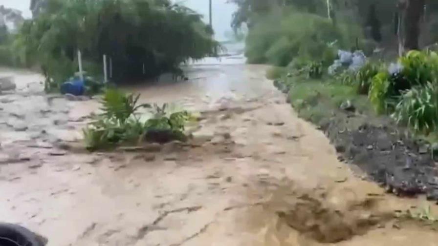 Autoridades de Agricultura hacen levantamiento para auxiliar productores afectados por lluvias