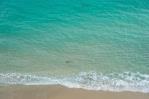 Advierten sobre tiburones en playas de Florida tras varios ataques recientes